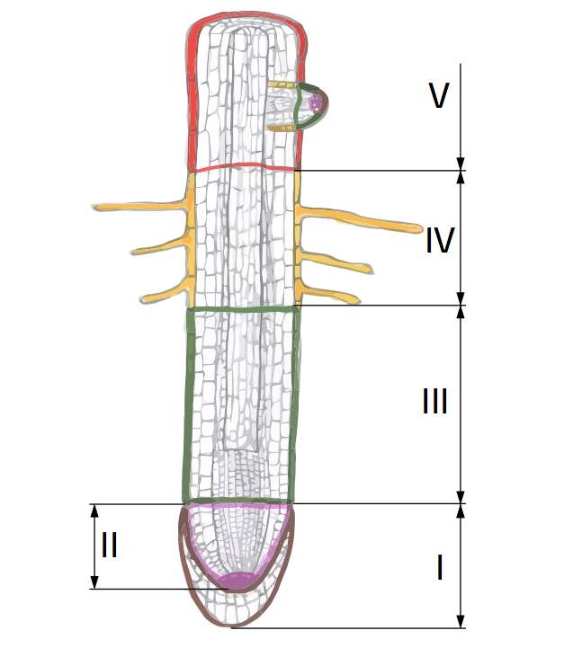 0400dsh8-3d82-647x731.png