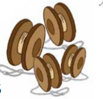 0400dty6-2bb8-150x144.png
