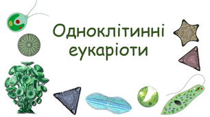 Одноклітинні твариноподібні та рослиноподібні організми