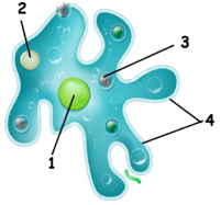 0400dwc4-89a3-201x187.png