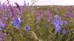 0400dwo2-0522-105x58.jpg