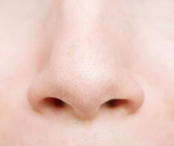 0400dxxb-13ad-253x212.jpg