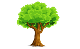 0400dy83-82a4-277x170.png