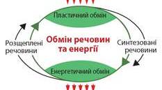 Обмін речовин та енергії – основа функціонування біосистем.