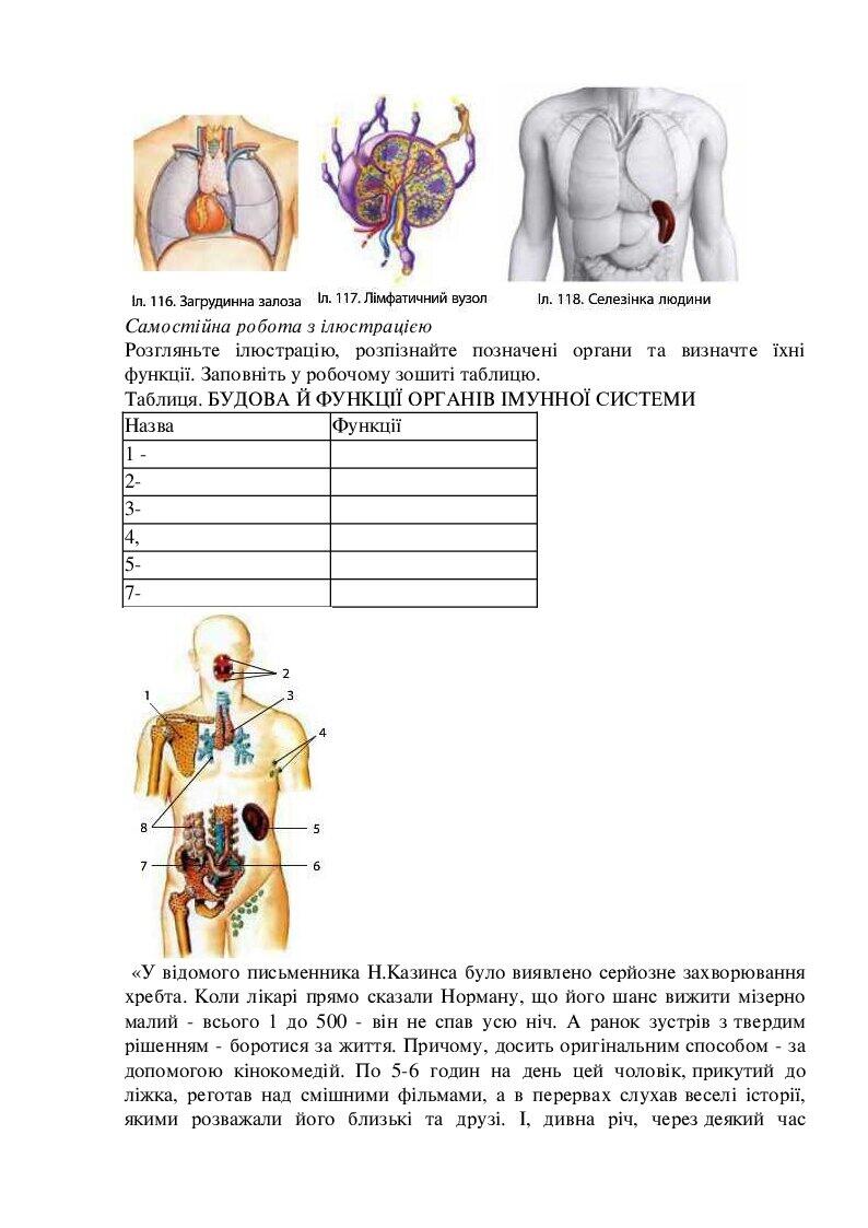 Конспекти уроків біологія 8 клас. | Конспект. Біологія