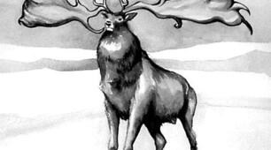 Презентація за темою "Irish elk" з англійської мови