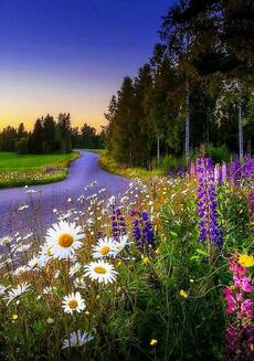 Природа летом картинки - 72 фото - картинки и рисунки: скачать бесплатно