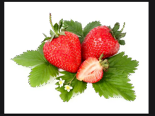 0400eke0-9a16-219x164.png