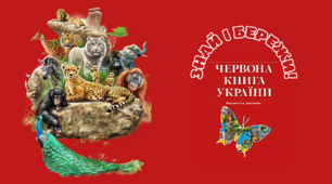 Захист слабких – справа сильних!