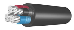 0400enpk-db74-246x100.png