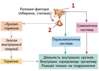 0400er91-5b76-383x275.jpg