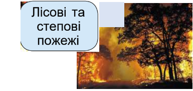 0400erzx-f3f6-385x181.png