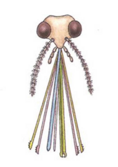 0400es3z-1a4d-171x241.png