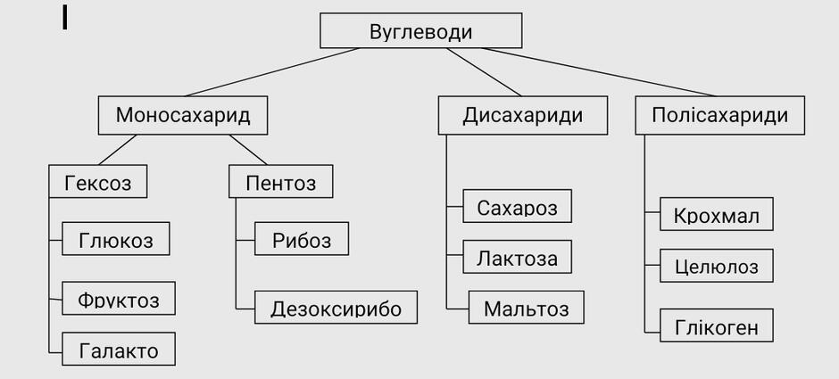 Вуглеводи (глюкоза, сахароза): молекулярні формули, фізичні властивості ...