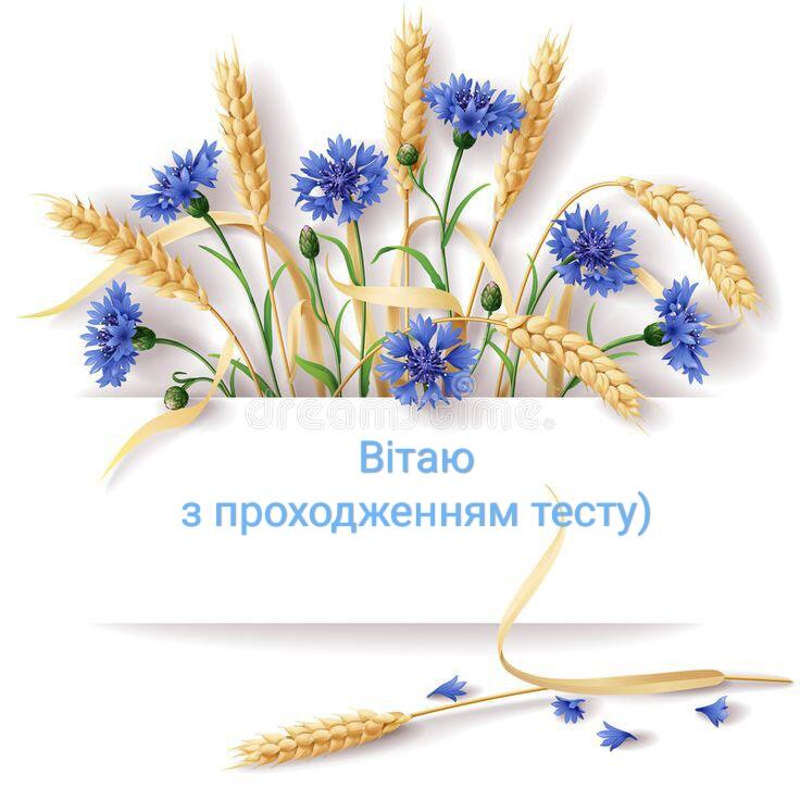 0400etky-9756-736x736.jpg
