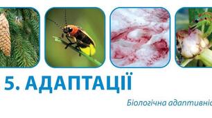 Контрольна робота Адаптація 11 клас