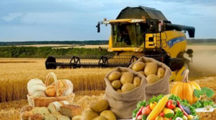 Сільське господарство України