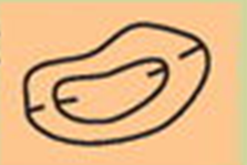0400f873-9511-294x197.png