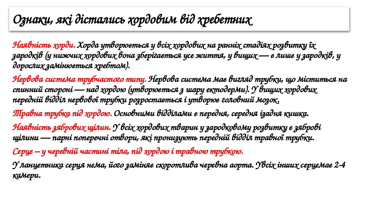 Ознаки, які дістались хордовим від хребетних Наявність хорди. Хорда утворюється у всіх хордових на ранніх стадіях розвитку їх зародків (у нижчих хо...