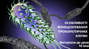 Презентація "Особливості функціонування прокаріотичних клітин"