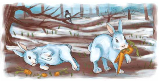 0400fct8-f335-530x270.png
