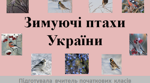 Презентація "Зимуючі птахи України"
