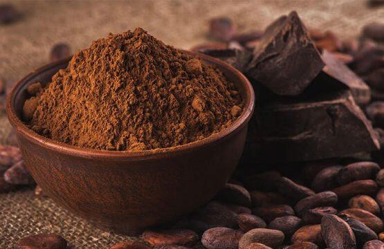 Cocoa Powder | Campco Chocolates