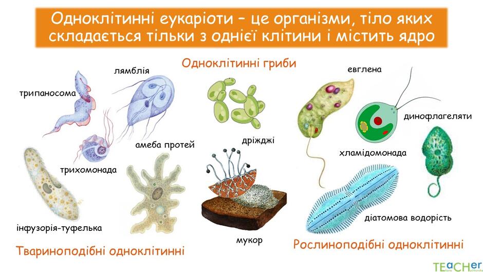 0400fgxt-299a-940x529.jpg