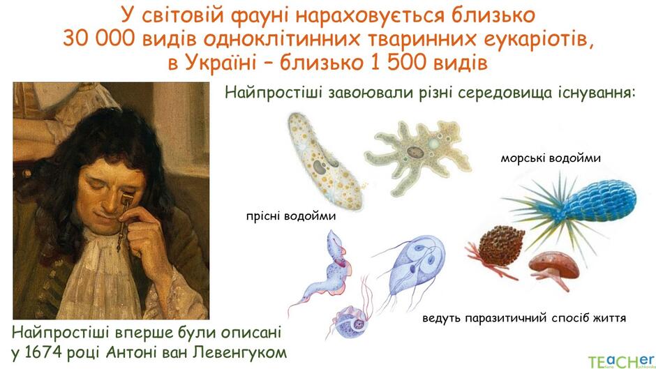 0400fgxw-521a-940x529.jpg