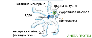 0400fgzt-6036-498x208.png