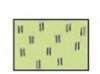 0400fh5m-5a09-100x74.png