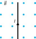 0400fi6f-ca4c-129x137.png