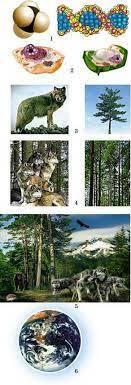 0400fld9-368c-131x385.jpg