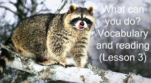 Презентація "What can you do? Vocabulary and Reading (Lesson 3)"