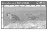 0400fndd-86cf-183x114.png