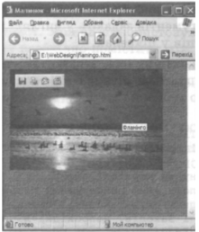 0400fnif-a67f-221x258.png