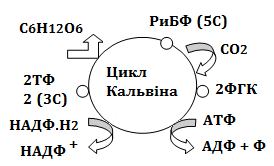 0400fre8-1f12-274x166.png