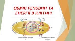 обмін речовин та енергії