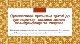 Одноклітинні організми здатні до фотосинтезу: евглена зелена, хламідомонада та хлорела.