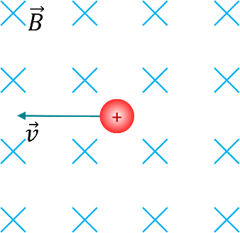 0400fwav-6933-338x329.png