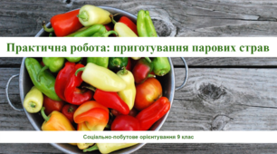 Практична робота: приготування парових страв. Соціально-побутове орієнтування 9 клас (СПО)