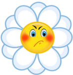 0400g0f3-d210-147x151.png