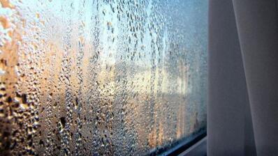0400g1lk-d552-398x224.jpg