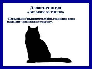 0400g47w-1f71-296x222.jpg