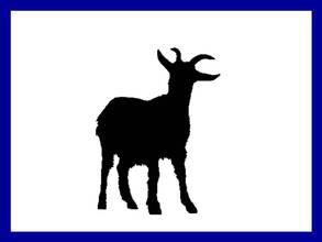 0400g480-12b5-293x220.jpg