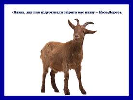 0400g485-39f9-276x207.jpg