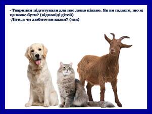 0400g489-c86a-301x226.jpg