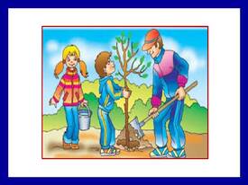 0400g48l-32a7-275x206.jpg