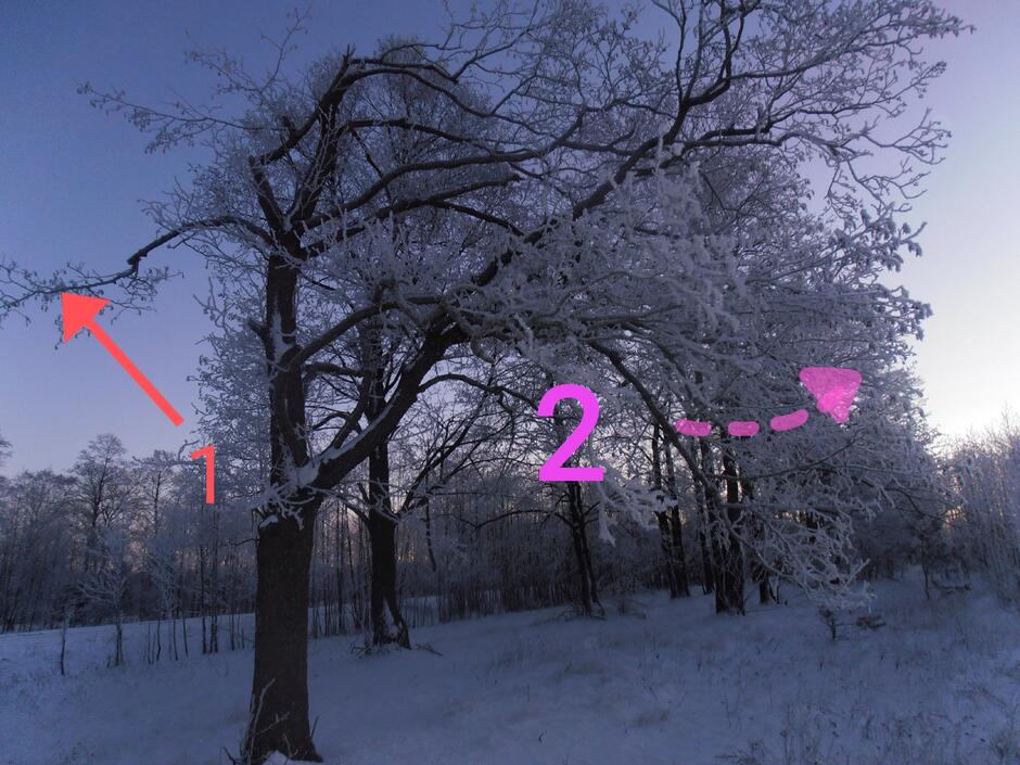 0400g4vo-29ac-940x705.jpg