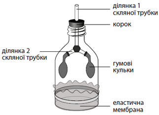 0400g7be-545a-323x235.png